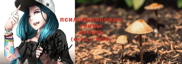 ПСИЛОЦИБИНОВЫЕ ГРИБЫ Строитель