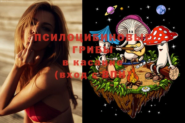 apvp Богородицк