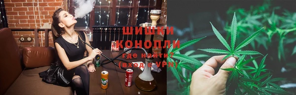 ПСИЛОЦИБИНОВЫЕ ГРИБЫ Строитель
