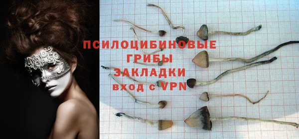 ПСИЛОЦИБИНОВЫЕ ГРИБЫ Бородино