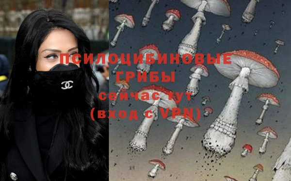 кокс Богданович