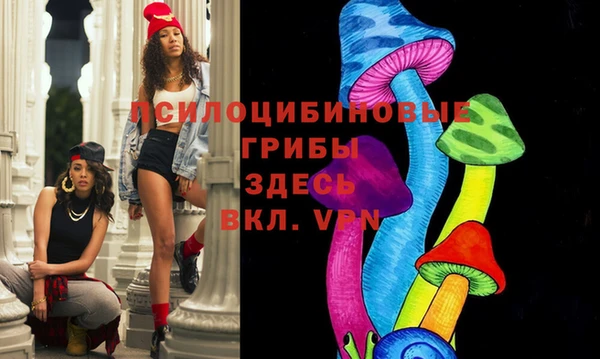 apvp Богородицк