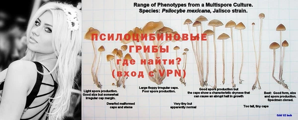скорость Струнино